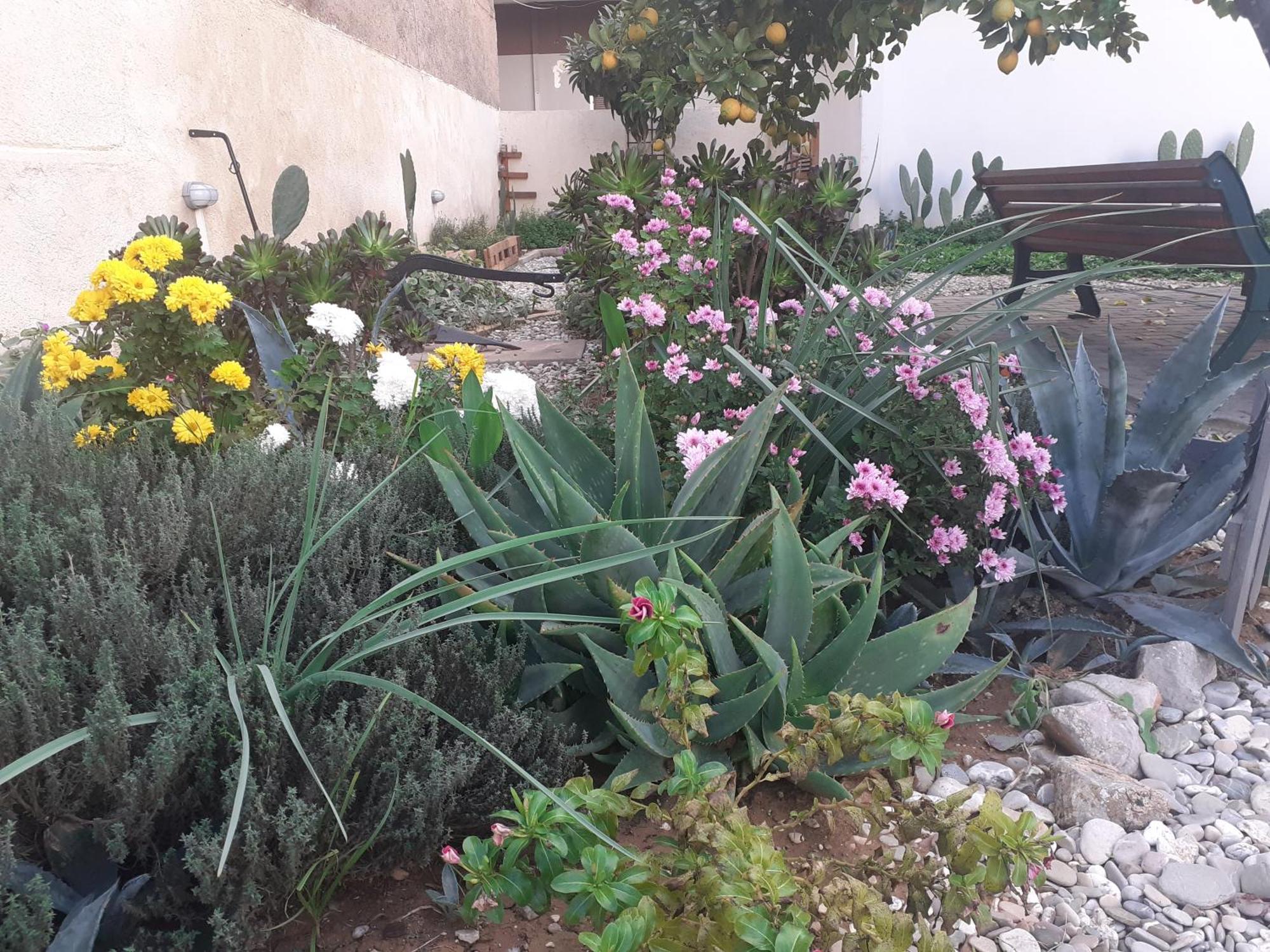 Michael'S Greek House Villa Argos Dış mekan fotoğraf